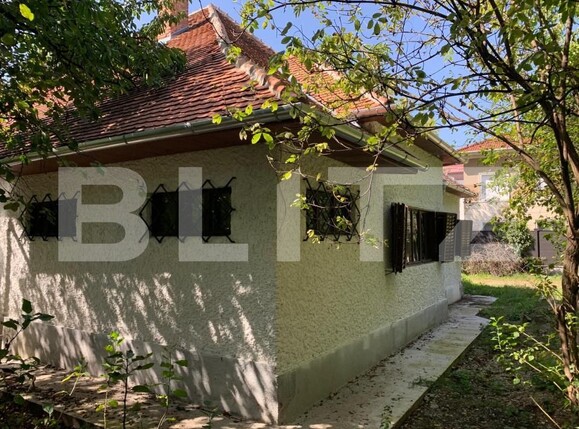 Spațiu comercial de închiriat Central - 146757SIC | BLITZ Cluj-Napoca | Poza8