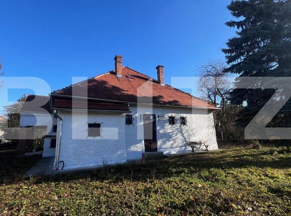 Spațiu comercial de închiriat Central - 146757SIC | BLITZ Cluj-Napoca | Poza1