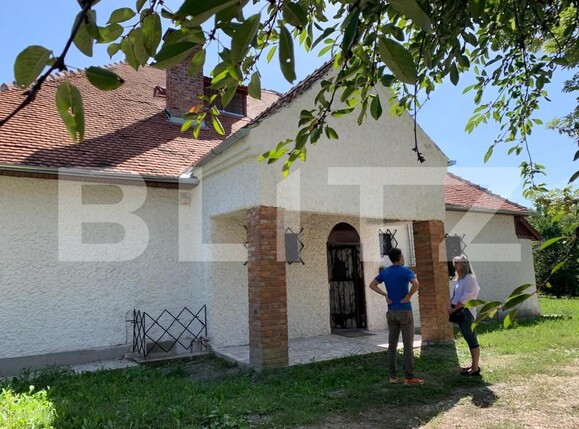 Spațiu comercial de închiriat Central - 146757SIC | BLITZ Cluj-Napoca | Poza5