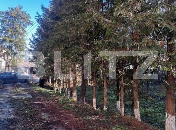 Spațiu comercial de închiriat Central - 146757SIC | BLITZ Cluj-Napoca | Poza3