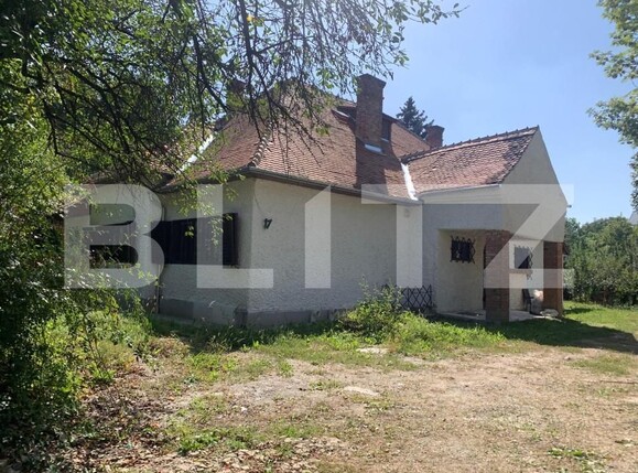 Spațiu comercial de închiriat Central - 146757SIC | BLITZ Cluj-Napoca | Poza6