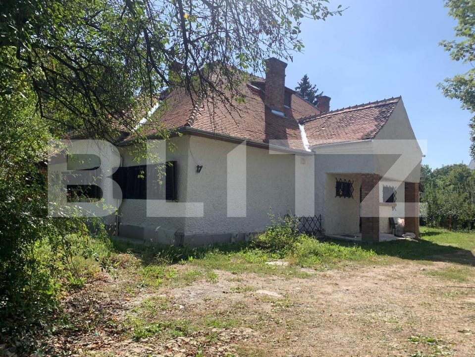 Spațiu comercial de închiriat Central - 146757SIC | BLITZ Cluj-Napoca | Poza6