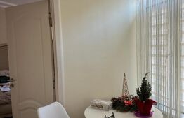 Studio modern 22mp, Republicii