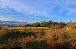 Teren intravilan, 1000mp, situat in Iris, zona Voronet