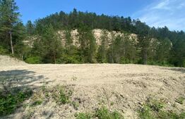 Teren intravilan, 842 mp, 27 ml front la drum, Cheile Baciului