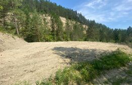 Teren intravilan, 842 mp, 27 ml front la drum, Cheile Baciului