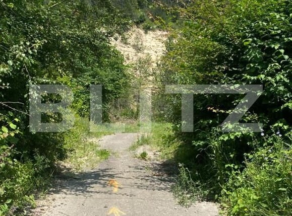 Teren de vânzare Baciu - 146791TV | BLITZ Cluj-Napoca | Poza4