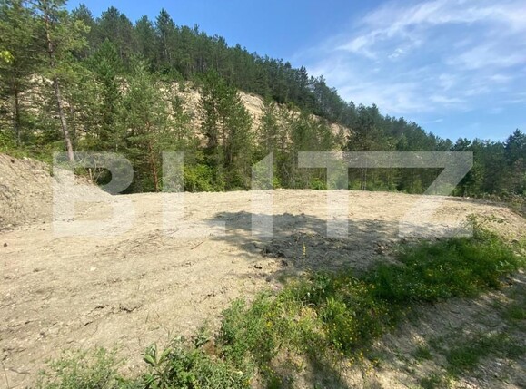 Teren de vânzare Baciu - 146791TV | BLITZ Cluj-Napoca | Poza2