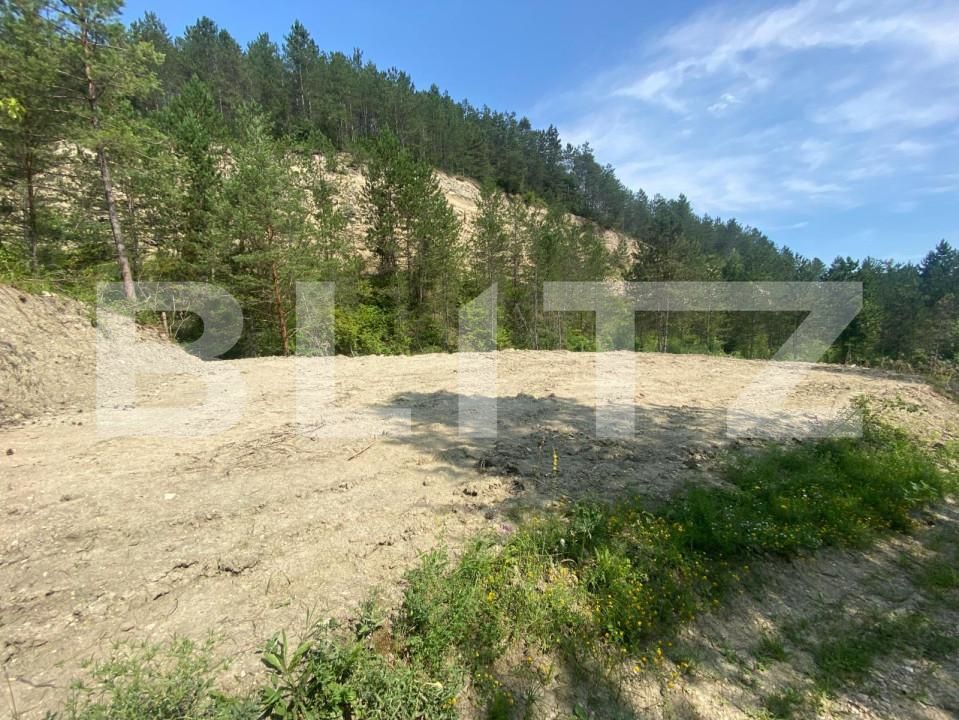 Teren de vânzare Baciu - 146791TV | BLITZ Cluj-Napoca | Poza2