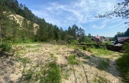 Teren intravilan, 743 mp, 30 ml front la drum, Cheile Baciului