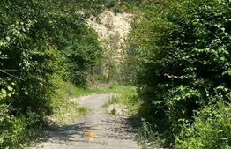 Teren intravilan, 743 mp, 30 ml front la drum, Cheile Baciului