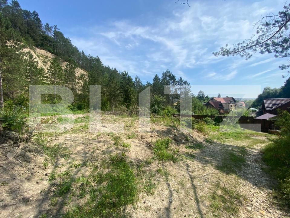 Teren de vânzare Baciu - 146792TV | BLITZ Cluj-Napoca | Poza1