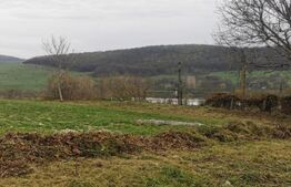 Investitie ! Casa individuala 1 camera, 51 mp, 3000 mp teren, Geaca !