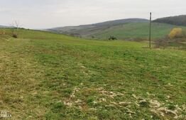 Investitie ! Casa individuala 1 camera, 51 mp, 3000 mp teren, Geaca !