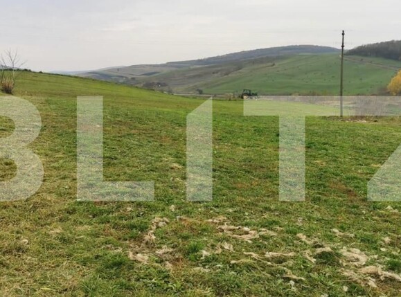 Casa de vânzare 1 camera Geaca - 146795CV | BLITZ Cluj-Napoca | Poza4