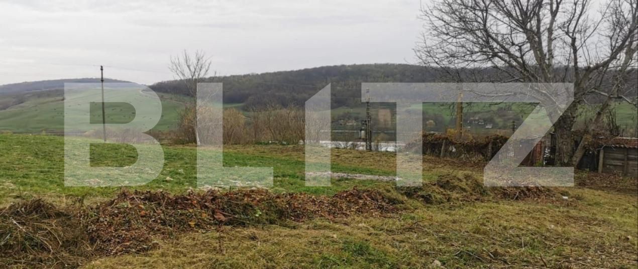 Casa de vânzare 1 camera Geaca - 146795CV | BLITZ Cluj-Napoca | Poza5