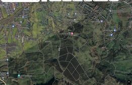 Teren intravilan, 7800 mp, restaurant Aroma, Becas