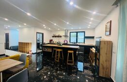 Casa unicata, 4  camere, 200 mp, terasa acoperita, curte de 1000 mp, Buna Ziua