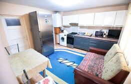 Casa 3 camere, 100mp, pod mansardabil, Plopilor