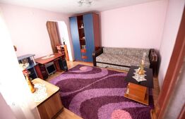 Casa 3 camere, 100mp, pod mansardabil, Plopilor