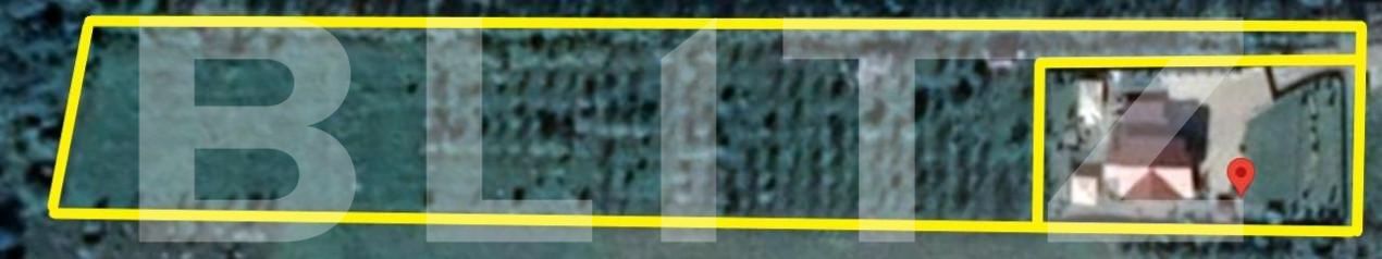 Casa de vânzare 5 camere Nima - 146840CV | BLITZ Cluj-Napoca | Poza15