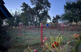 Casa 4 camere, 3 anexe, 199mp, teren 2810 mp, Ceanu Mare