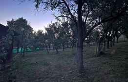 Casa 4 camere, 3 anexe, 199mp, teren 2810 mp, Ceanu Mare