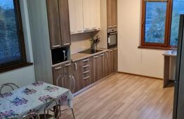 Casa 5 camere, 200 mp utili, zona Lidl Baciului