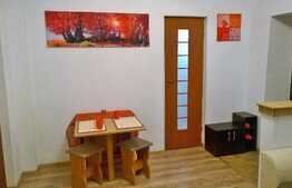 Garsoniera de inchiriat, 40 mp, in casa/vila, mobilat modern, zona UMF