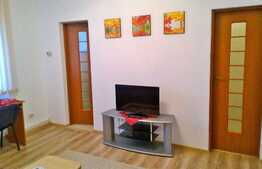 Garsoniera de inchiriat, 40 mp, in casa/vila, mobilat modern, zona UMF