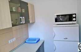 Garsoniera de inchiriat, 40 mp, in casa/vila, mobilat modern, zona UMF