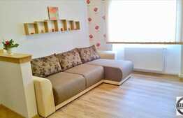 Garsoniera de inchiriat, 40 mp, in casa/vila, mobilat modern, zona UMF