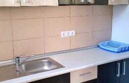 Garsoniera de inchiriat, 40 mp, in casa/vila, mobilat modern, zona UMF