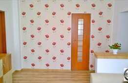 Garsoniera de inchiriat, 40 mp, in casa/vila, mobilat modern, zona UMF