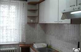 Apartament cu 2 camere de inchiriat, 50 mp utili, zona Interservisan