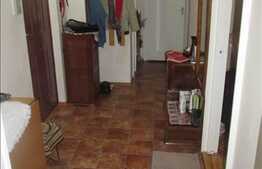 2 camere, 52 mp, decomandat, boxa subsol, etaj intermediar, zona Profi