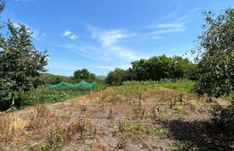 Casa 2 camere, 820 mp teren, Bontida