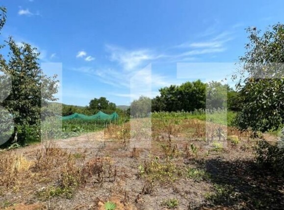 Casa de vânzare 2 camere Exterior Est - 146888CV | BLITZ Cluj-Napoca | Poza12