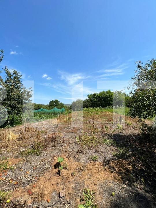 Casa de vânzare 2 camere Exterior Est - 146888CV | BLITZ Cluj-Napoca | Poza12