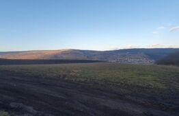 Parcele de teren, 560mp, cartierul Iris, livada Steluta