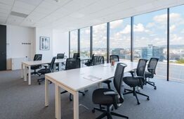 Birouri All-inclusive Regus, 2-22 persoane, mobilate si echipate, Iulius Mall