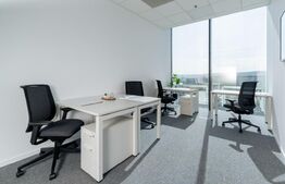 Birouri All-inclusive Regus, 2-22 persoane, mobilate si echipate, Iulius Mall