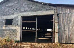 Ferma de vanzare in jud. Covasna (suprafata teren 4824, suprafata contruita 1930