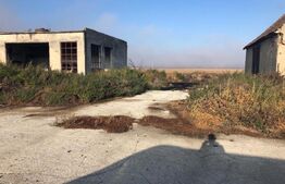 Ferma de vanzare in jud. Covasna (suprafata teren 4824, suprafata contruita 1930