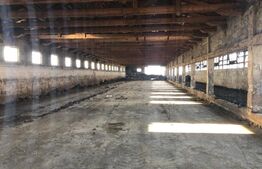 Ferma de vanzare in jud. Covasna (suprafata teren 4824, suprafata contruita 1930