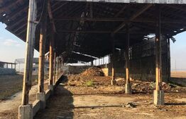 Ferma de vanzare in jud. Covasna (suprafata teren 4824, suprafata contruita 1930