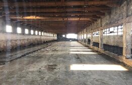 Ferma de vanzare in jud. Covasna (suprafata teren 4824, suprafata contruita 1930