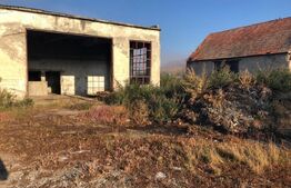 Ferma de vanzare in jud. Covasna (suprafata teren 4824, suprafata contruita 1930