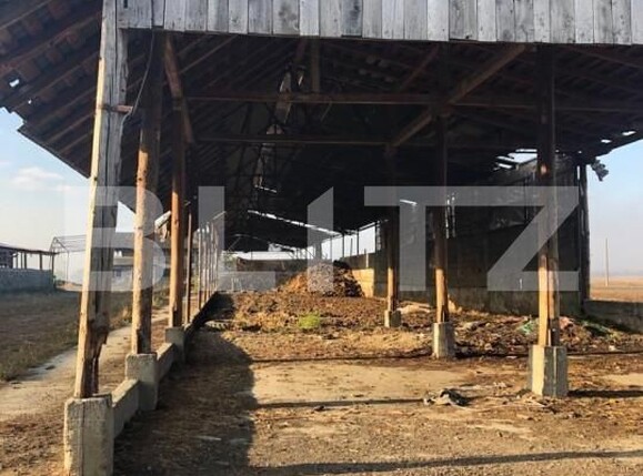 Teren de vânzare Exterior Nord - 146986TV | BLITZ Brașov | Poza12