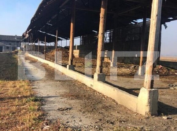 Teren de vânzare Exterior Nord - 146986TV | BLITZ Brașov | Poza14